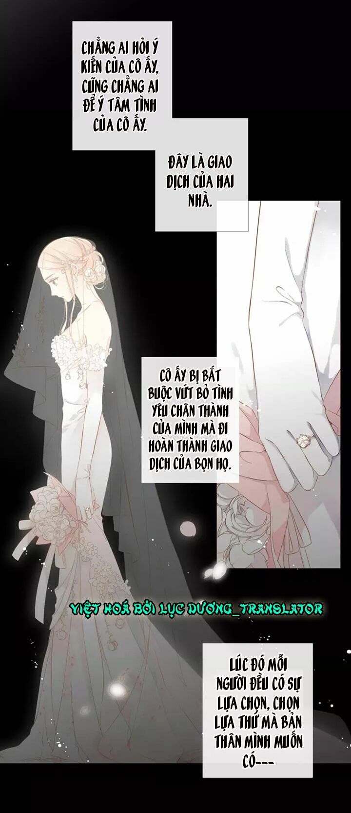 Tình yêu là màu hoa anh thảo chapter 31.1 5