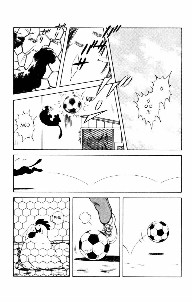 rough - ngọc thô chapter 57 4