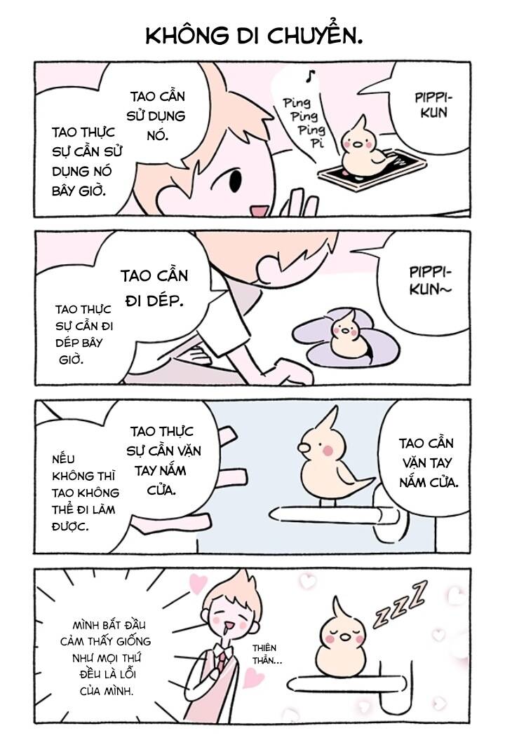 chú mèo kỳ diệu kyuu-chan chapter 726 3