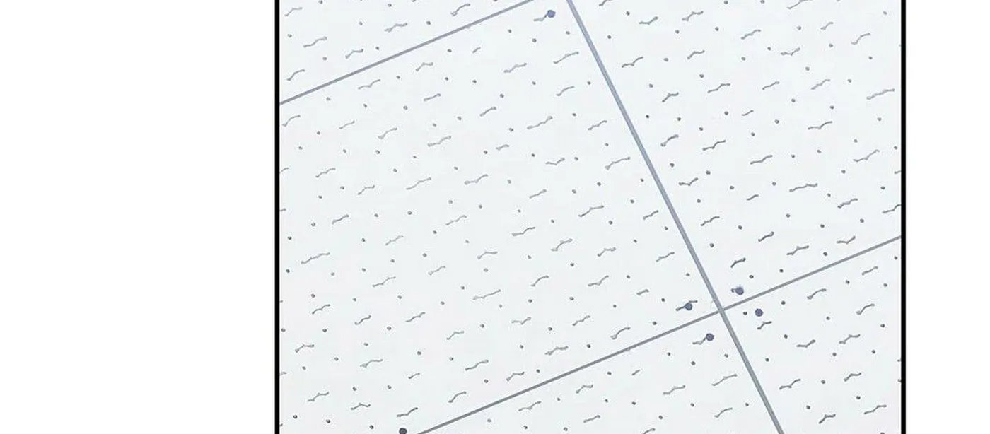 guide cấp b chapter 5 8