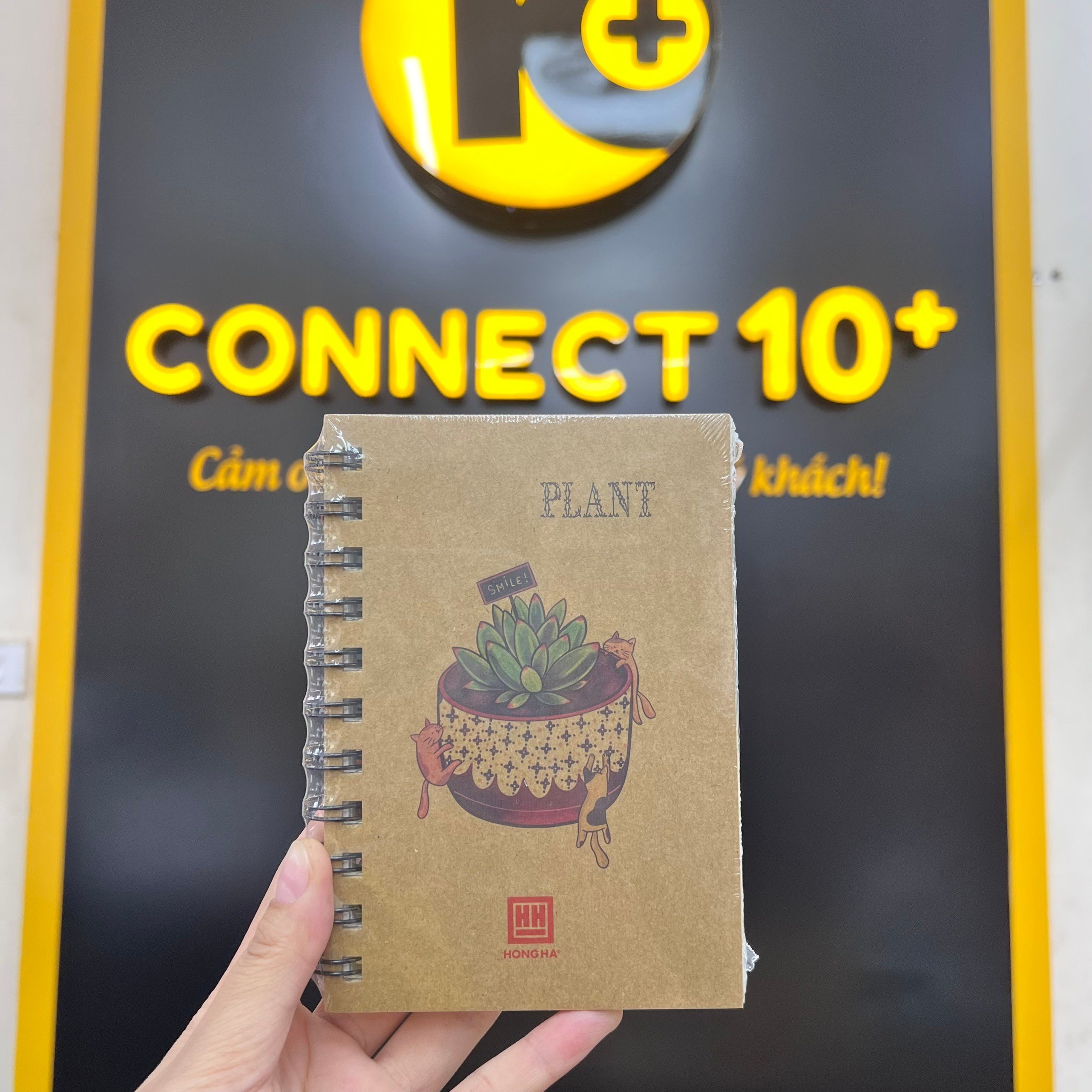 Sổ lò xo A5-A6 mẫu đẹp