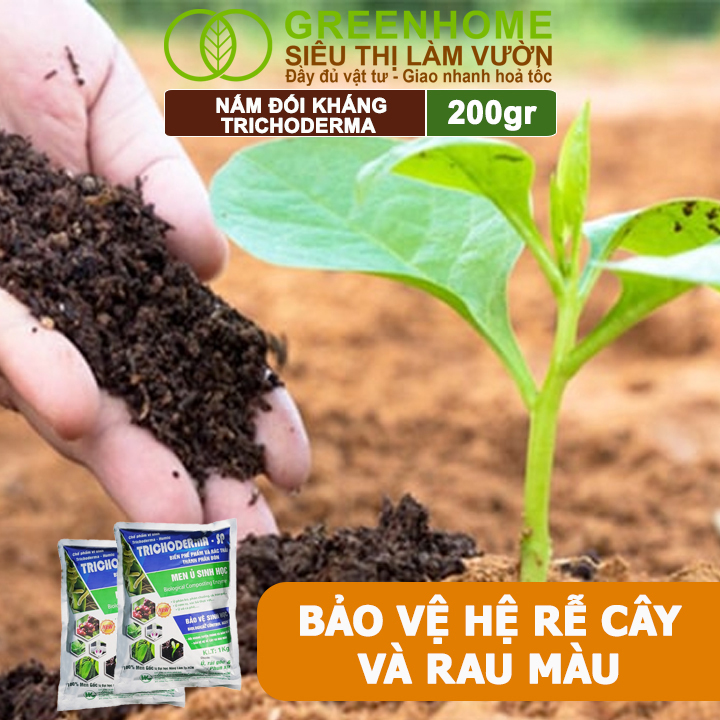 Nấm Đối Kháng Trichoderma, Hoàng Kim, Ủ Phân Hữu Cơ, Ủ Rác, Đậu Tương, Khử Mùi, Cải Tạo Đất