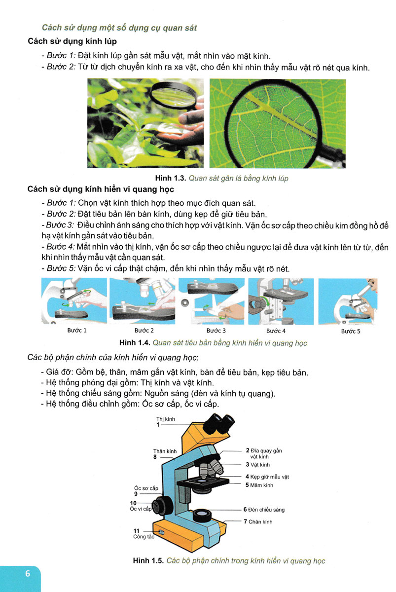 Củng Cố và Ôn Luyện Khoa Học Tự Nhiên Lớp 6