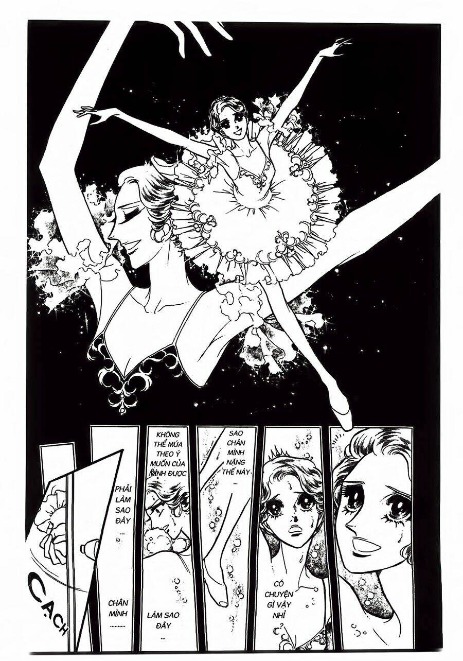 swan - vũ khúc thiên nga chapter 24 22