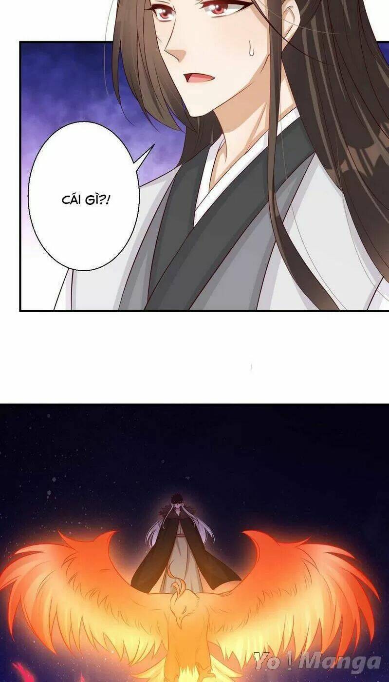 độc y cuồng phi chapter 74 9