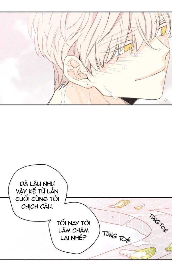 bắp cải bên dưới củ cải chapter 3 48