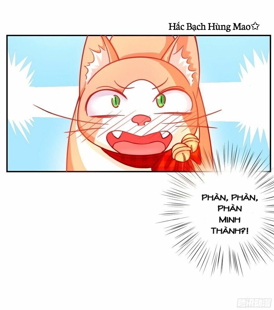 chủ nhân là ảnh đế chapter 1.5 34