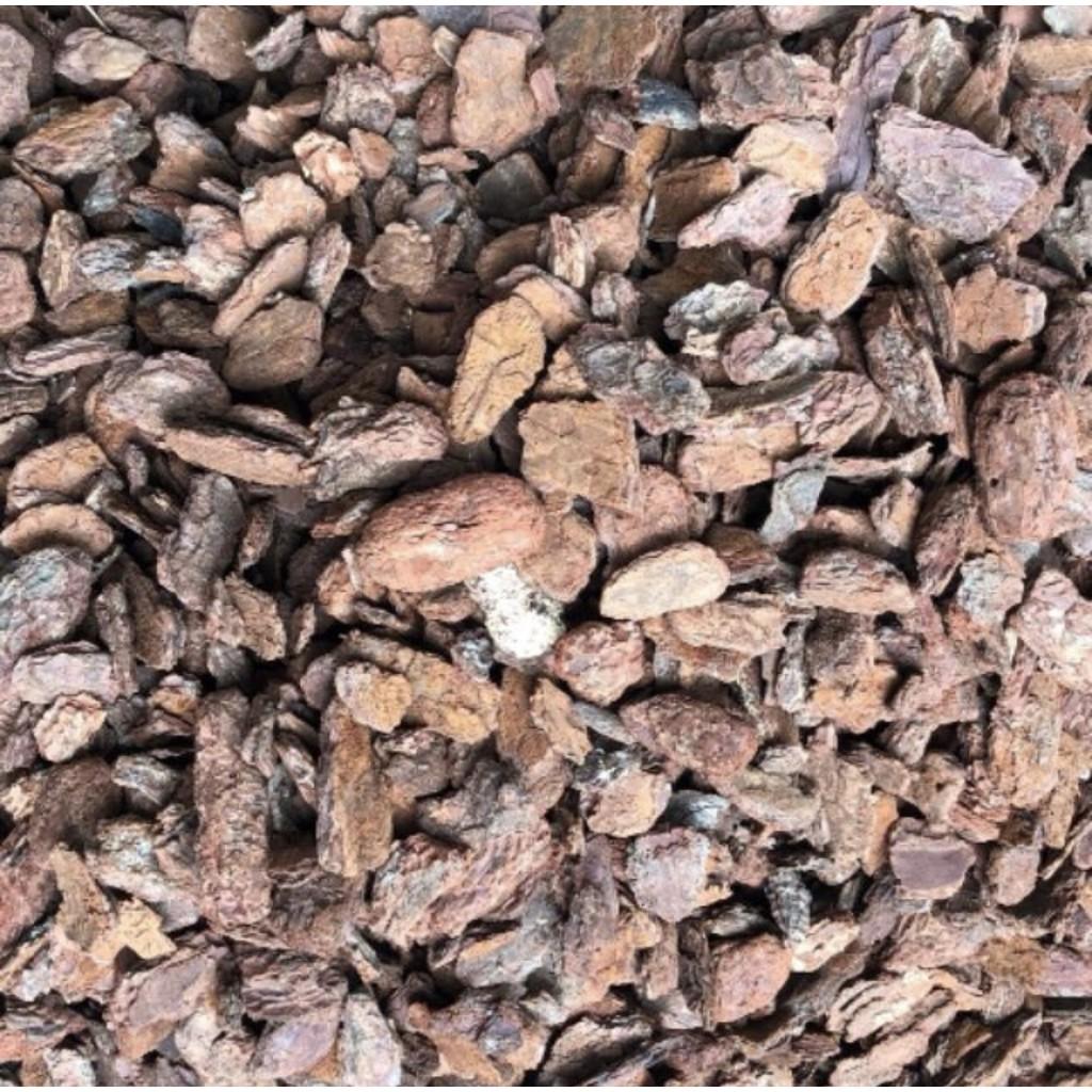 Vỏ Thông Trồng Lan Cao Cấp Cỡ 2-5cm Đã Xử Lý 1Kg/ Hồng Thanh Garden