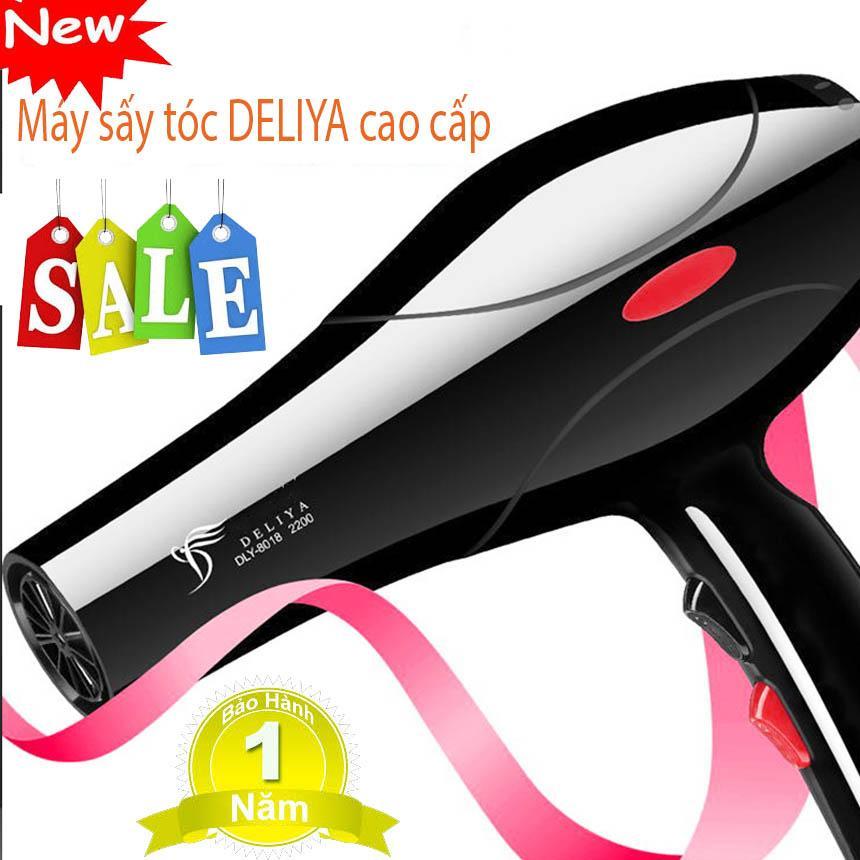 Máy Sấy Tóc 2 Chiều Nóng Lạnh Công Suất Lớn DELYA, Máy sấy tóc 2 chiều, Máy Sấy Công Suất Lớn, sấy khô tóc mạnh mẽ