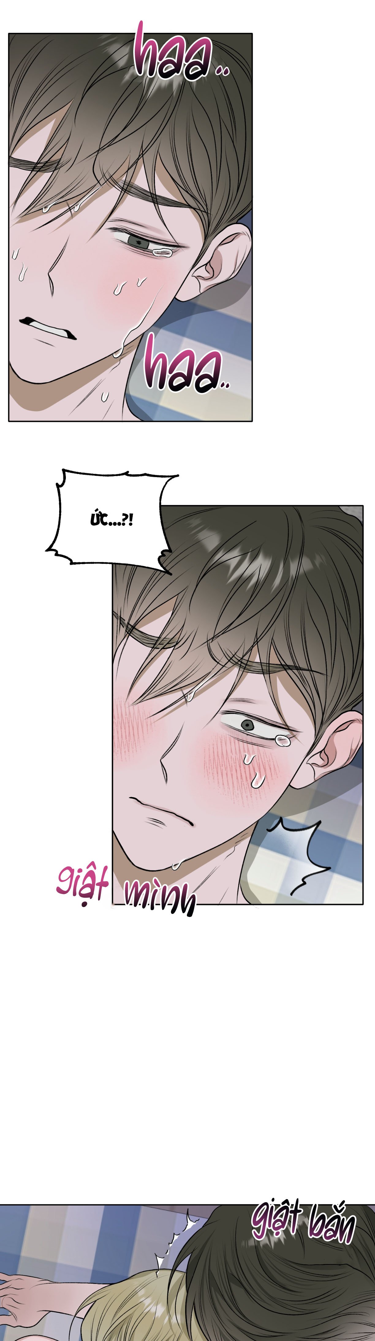 đoá hoa trên mặt hồ chapter 15 27