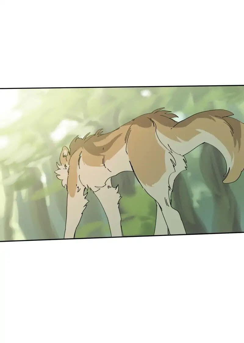 lumine - cội nguồn ánh sáng chapter 68 14