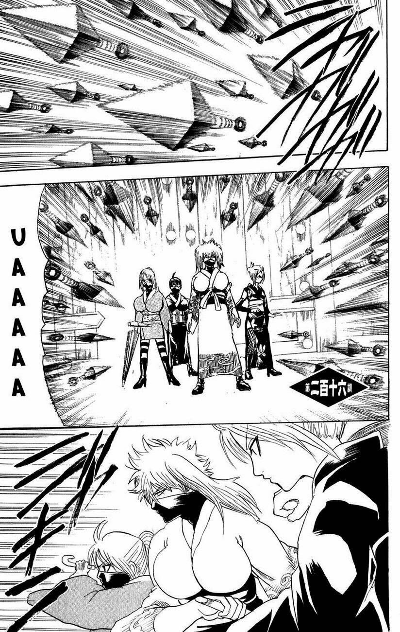 gintama - linh hồn bạc chapter 216 3