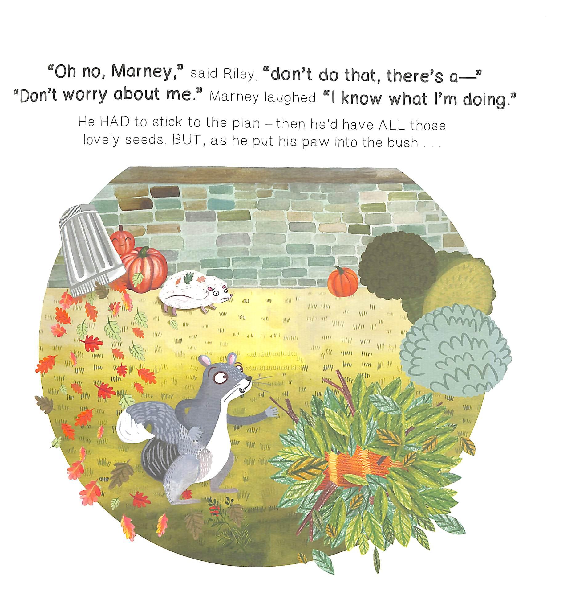 Marney's Pumpkin Mix Up