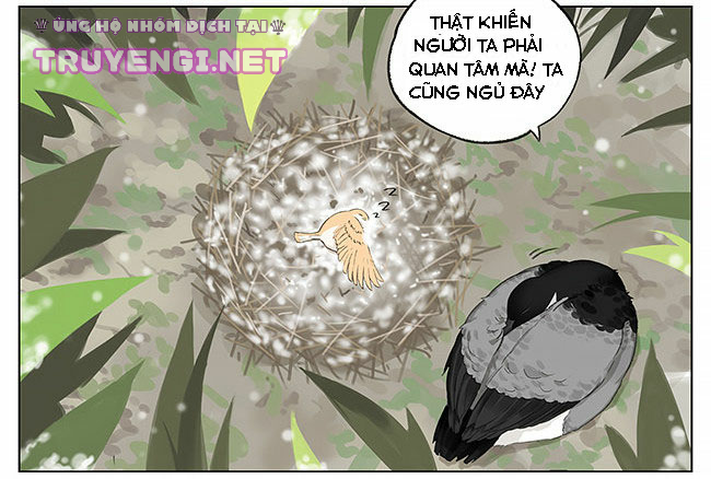 sẻ chiếu mới và nhạn phong sương chapter 5 16