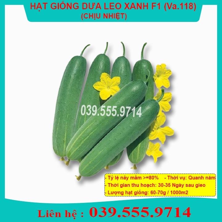 Hạt Giống Dưa Leo Xanh F1 Chịu Nhiệt – 10gram _ Dưa Siêu Năng Suất Quả Đẹp