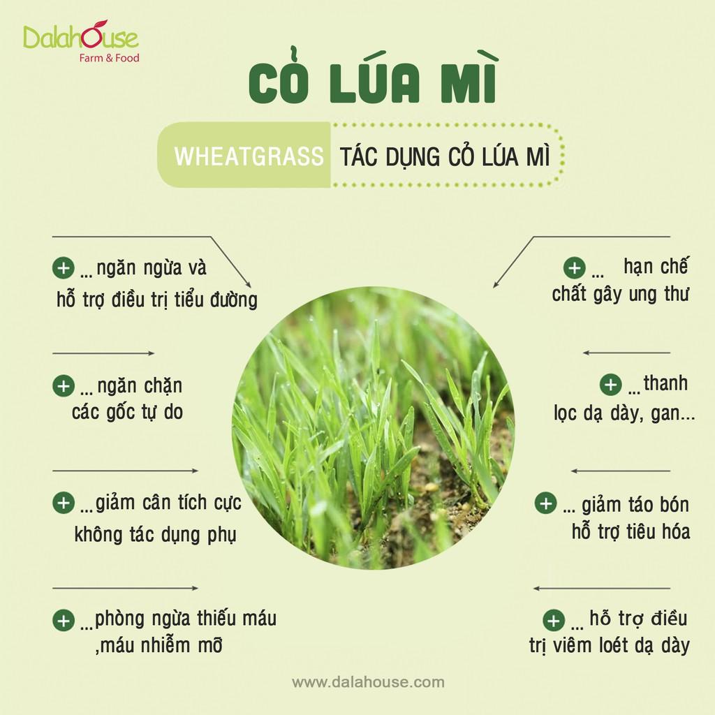 Bột cỏ lúa mì hữu cơ Dalahouse nguyên chất sấy lạnh 60gr tốt cho tim mạch, đạt chuẩn Châu Âu