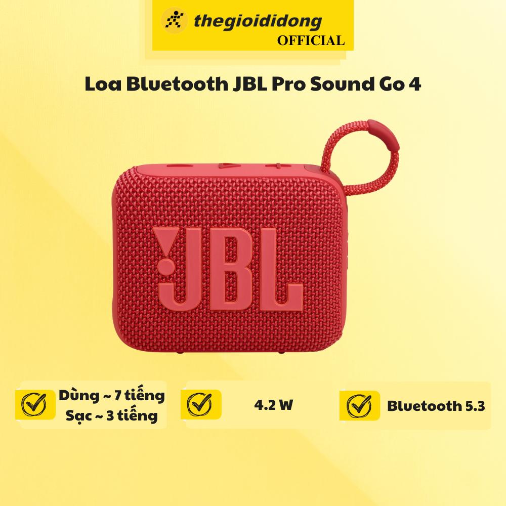 Loa Bluetooth JBL Pro Sound Go 4 - Hàng Chính Hãng