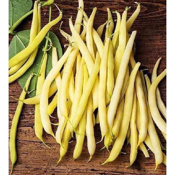 Hạt giống đậu cove vàng dạng bụi CT145 - Gói 10gram