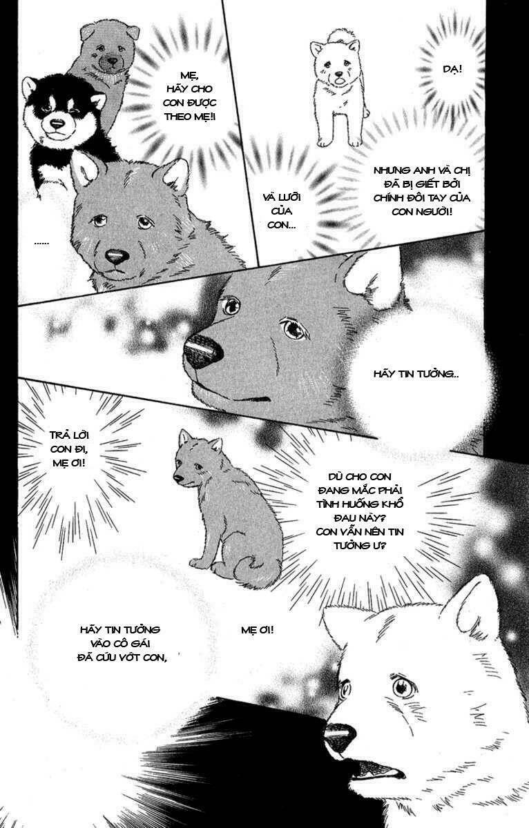 deep love - pao no monogatari chapter 7 19