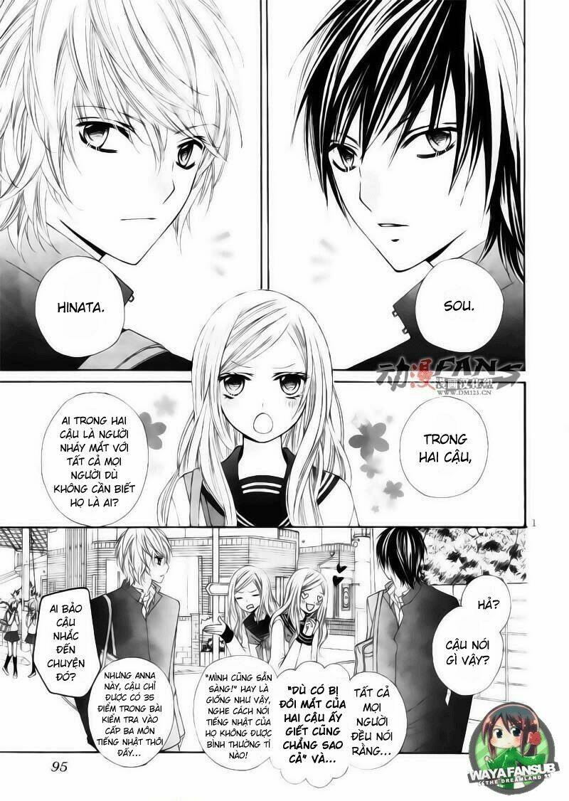 stardust wink chapter 1 4