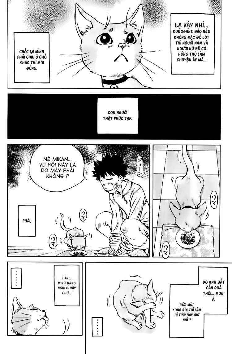 pastel chapter 123.5 19