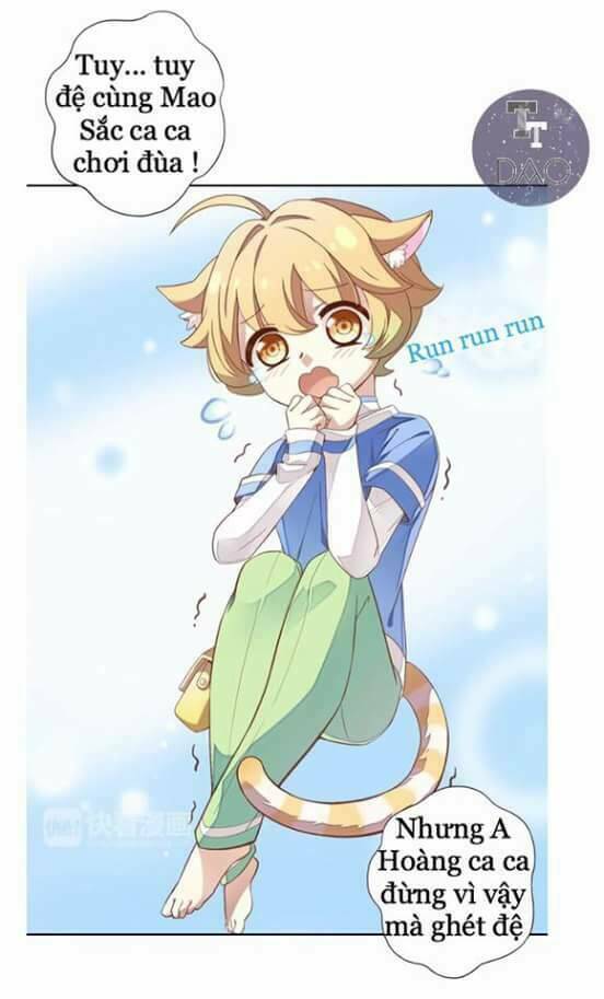 dưới móng vuốt mèo chapter 1 10