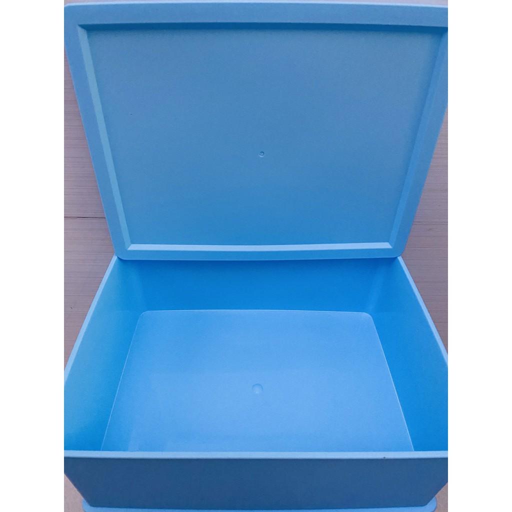 Khay đựng áo ngực đồ lót homestar