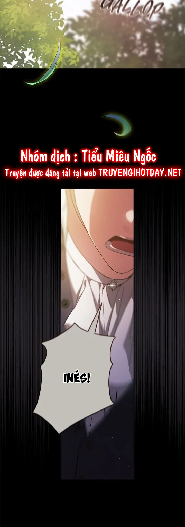 tôi mới là người quyết định cuộc hôn nhân này chapter 62 12