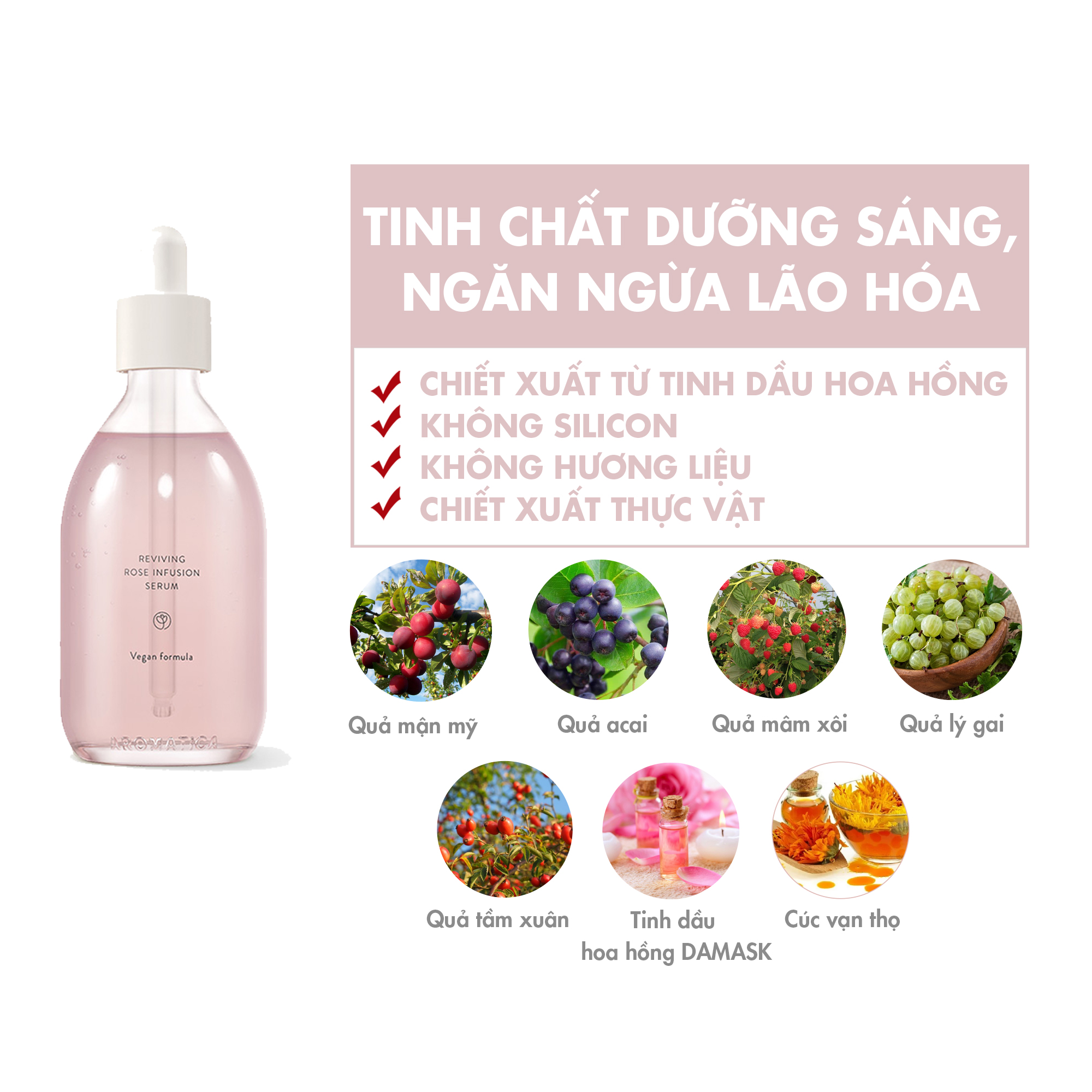 Tinh chất dưỡng sáng và ngăn ngừa láo hóa Aromatica Reviving Rose Infusion Serum 100ml