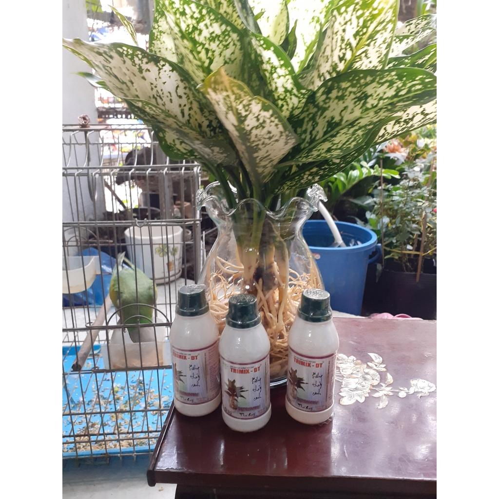 100ml trimix dt 38 cành.