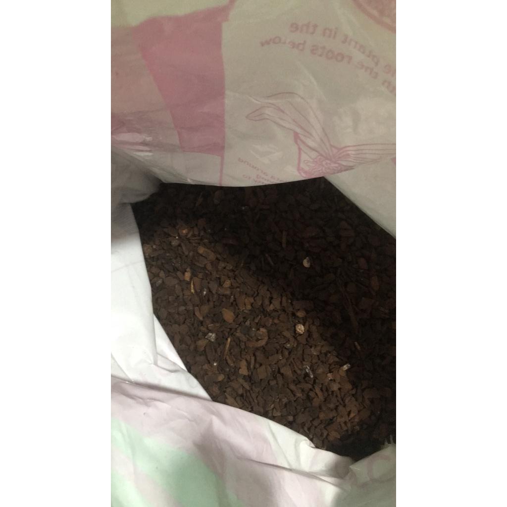 Vỏ Thông Orchiata các kích cỡ - Nhập khẩu Newzealand chia lẻ 1kg