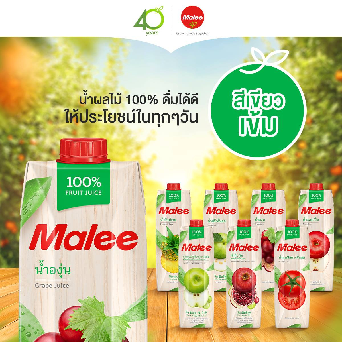 Nước Ép Nho Malee 1L (Thái Lan)