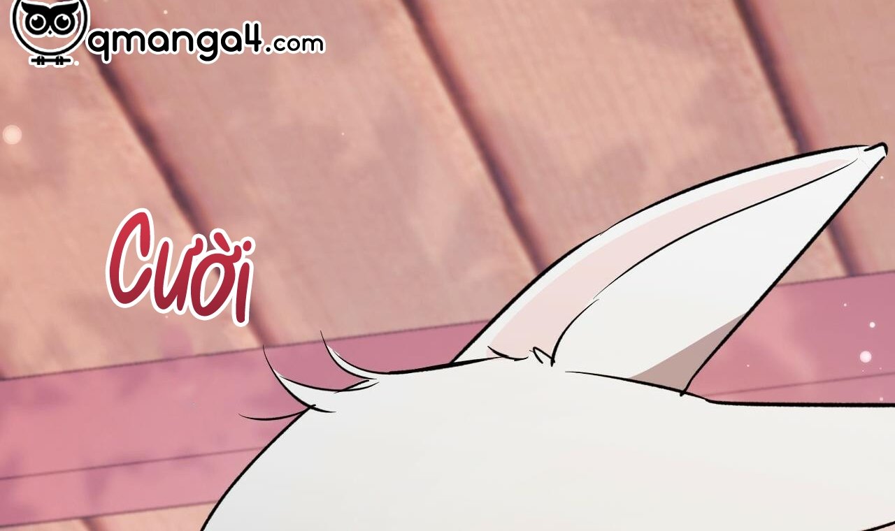 những chú thỏ của hapypy chapter 56 301