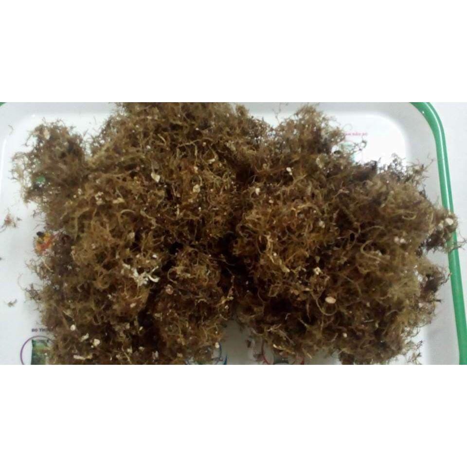 RONG BIỂN NẤU SU SOA