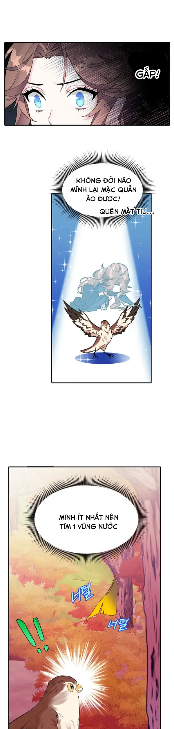 công chúa chim ưng cavier chapter 2 13