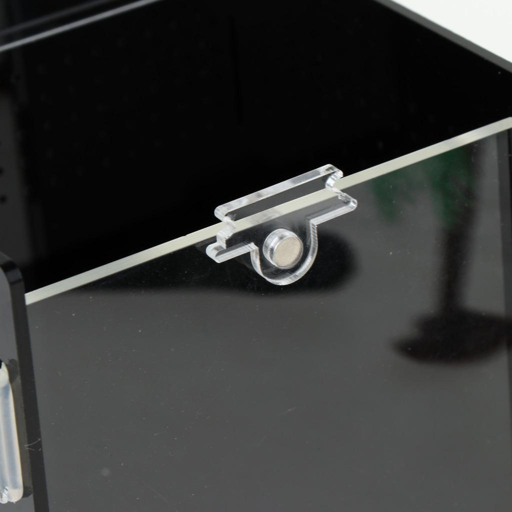 Reptile Vivarium Terrarium