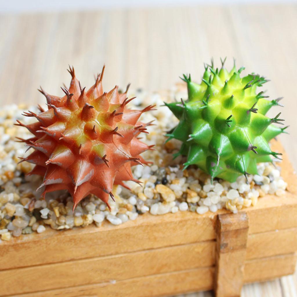 Cactus Artificial Plant Plastic Succulent Cactus Office Garden Home Plant #1