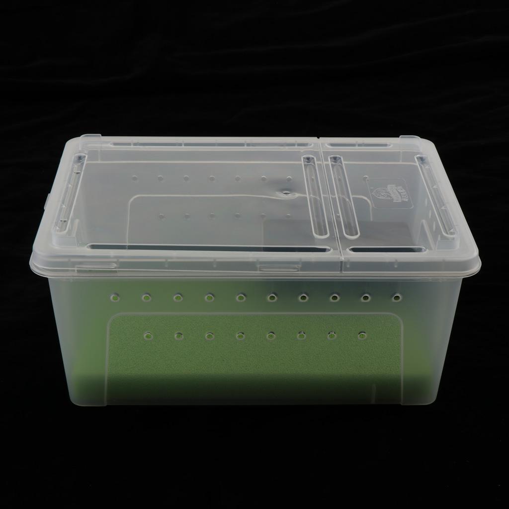 Reptile Amphibian Habitat Terrarium Vivarium Breeding Box