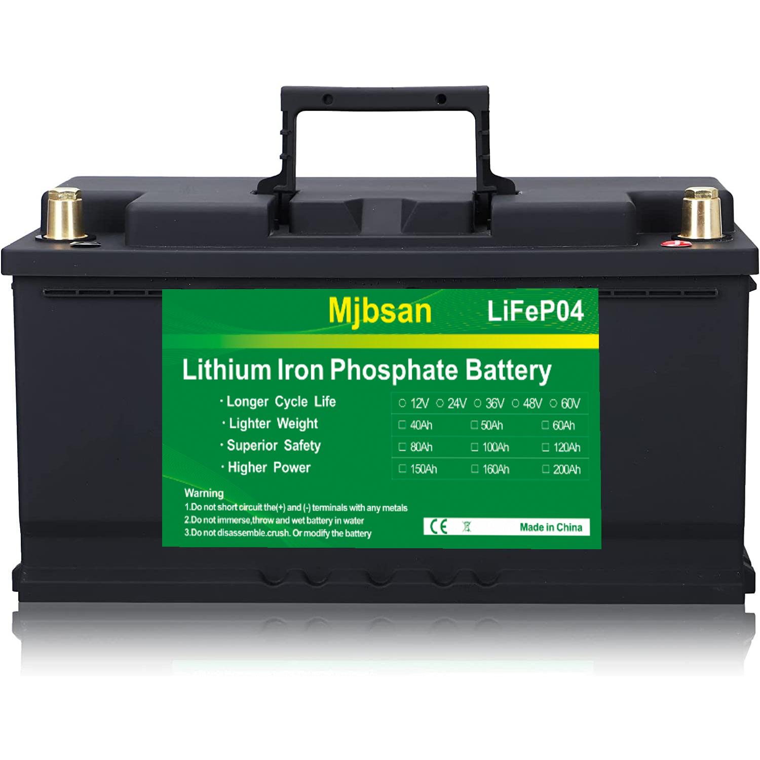 Pin Lithium Iron Phosphate 12V 100Ah LiFePO4 BMS tích hợp cho hệ thống năng lượng mặt trời lưu trữ động cơ thuyền biến tần có bộ sạc Màu sắc: Bộ sạc Không có pin