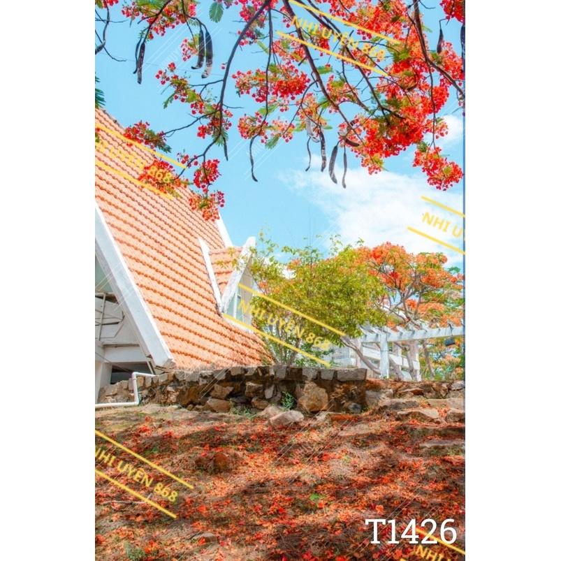 Tranh vải decor / Thảm vải treo tường / Thảm vải chụp ảnh cử nhân/ Chụp ảnh tốt nghiệp