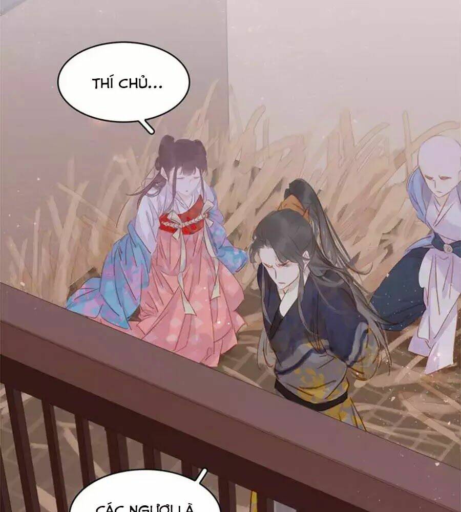 tiểu sư phụ, tóc giả của ngài rơi rồi! chapter 23 11