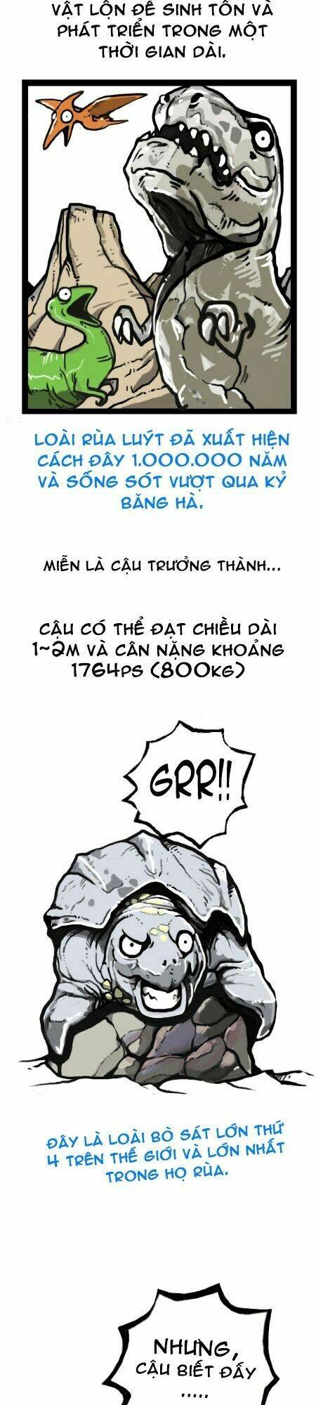 earth, human, and animal chapter 17 14