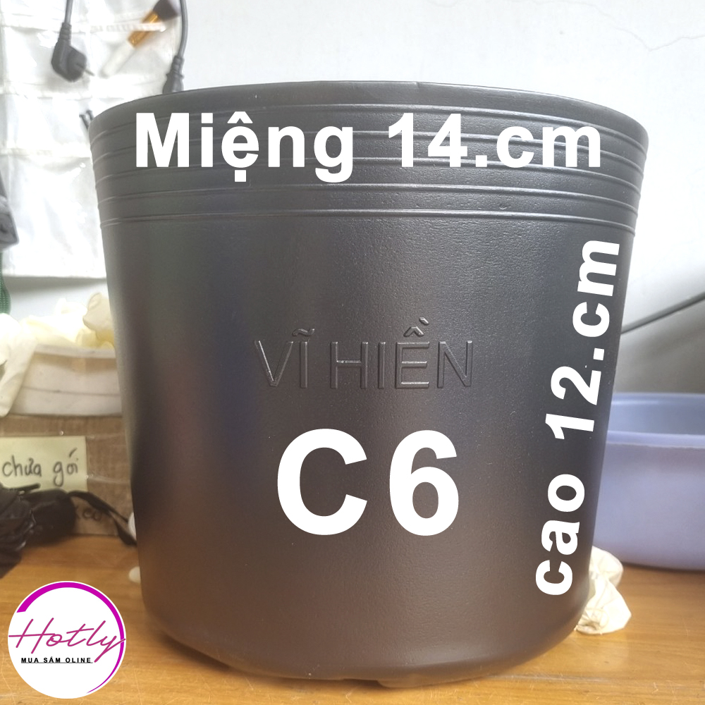 Chậu nhựa C6 trồng cây và ươm cây giống miệng.cao 14x12 cm -77100