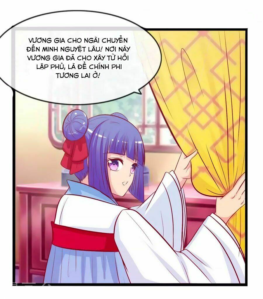 thỏ yêu tiểu vương phi chapter 46 23