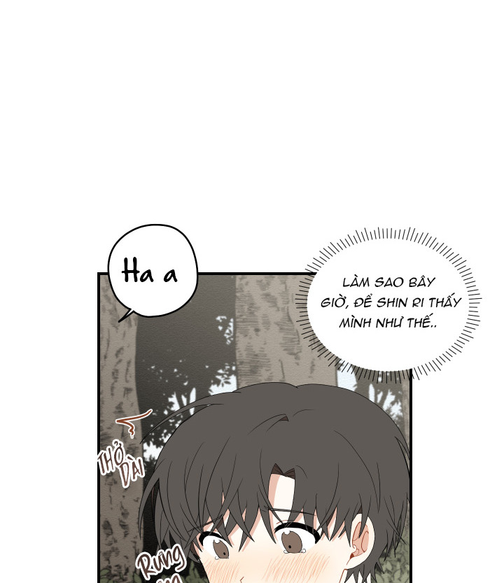 đường hoa liên kiều rơi chapter 19 33