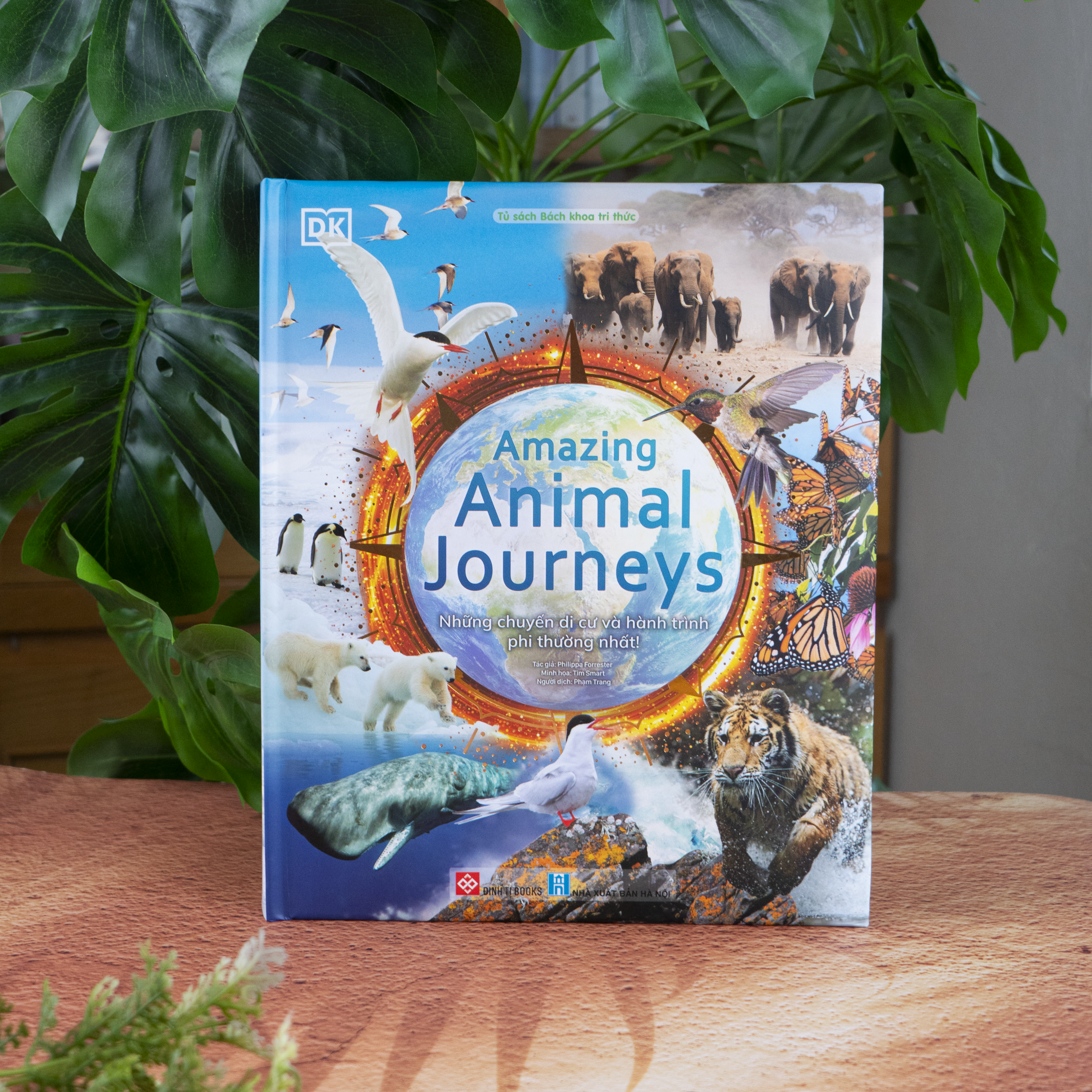 Amazing Animal Journeys - Những chuyến di cư và hành trình phi thường nhất!