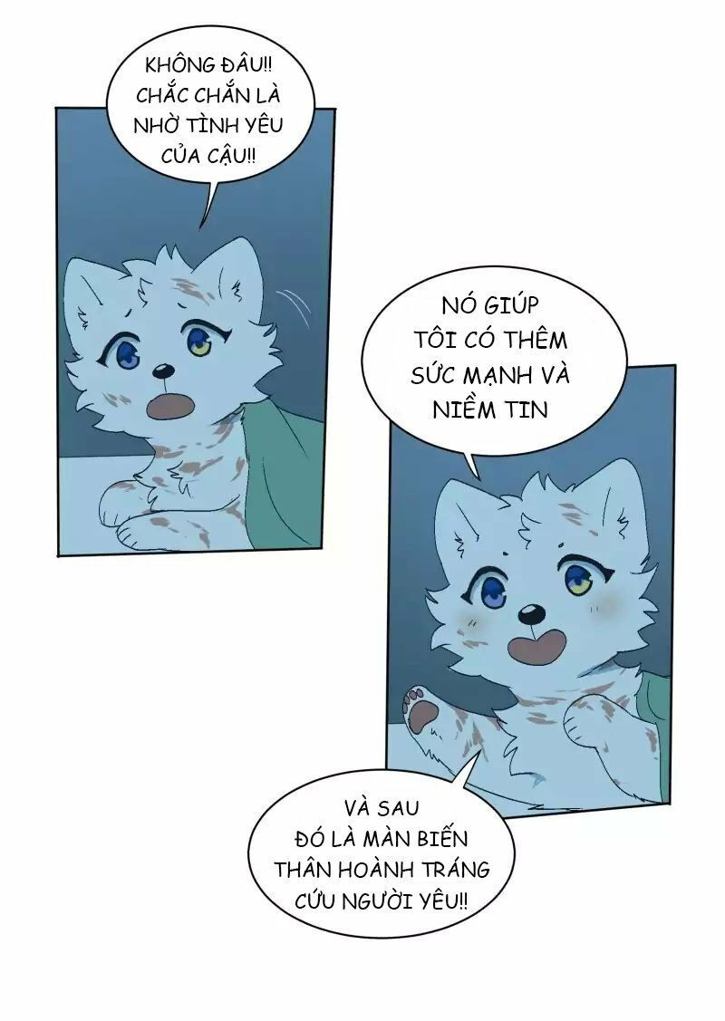 lumine - cội nguồn ánh sáng chapter 33 8