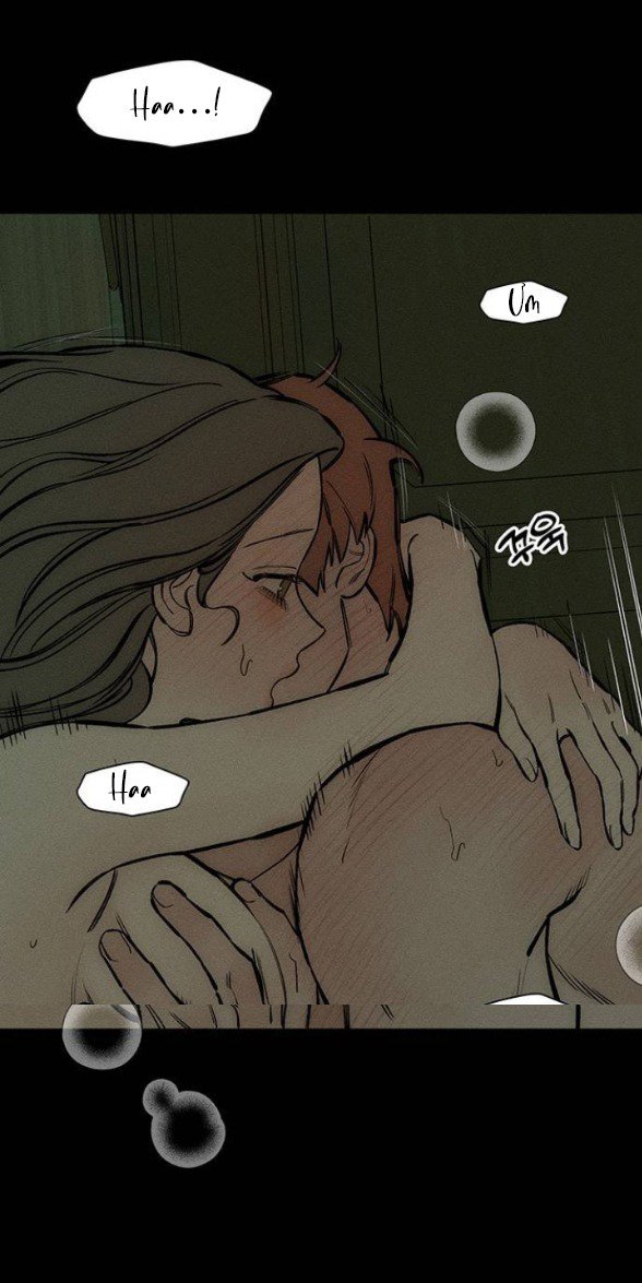 [18+] Nước Mắt Trên Đóa Hoa Tàn chapter 42.1 37