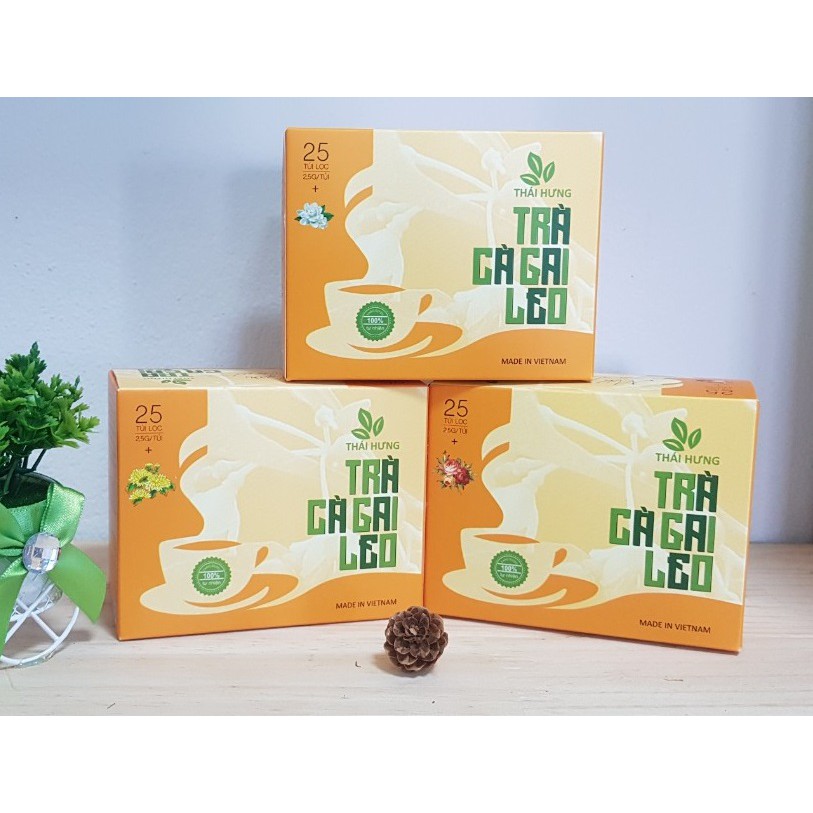 Trà thảo dược cao cấp Thái Hưng: CÀ GAI LEO