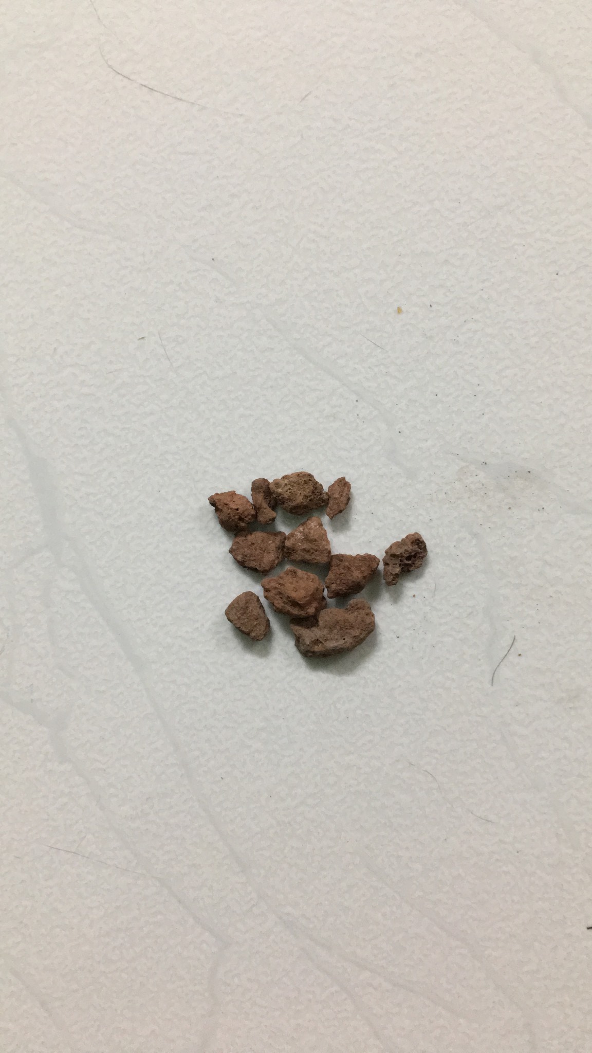 Giá thể sương rồng kiểng lá hồ thủy sinh đá nham thạch 1kg